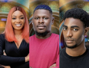 Bbnaija Evicted housemate