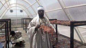 Solar powered kilishi processing system